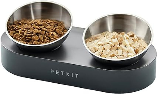 Stainless Steel Elevated Cat Feeding Bowls for Cats and Small Dogs